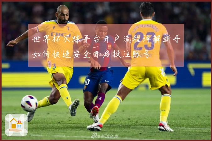 世界杯买球平台开户流程详解新手如何快速安全开启投注账号