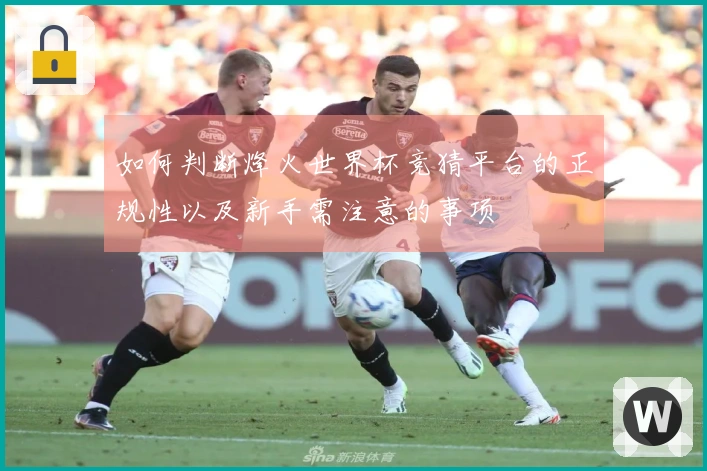 如何判断烽火世界杯竞猜平台的正规性以及新手需注意的事项